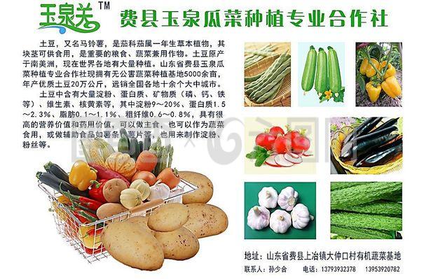 蔬菜产品宣传彩页图片