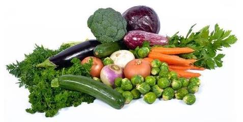 反季节蔬菜这类产品对人身体有害无益,学习蔬菜的季节分类属性