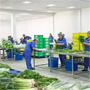 婴智贝佳早教中心加盟 费用多少 条件