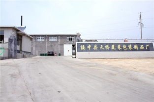 天桥蔬菜包装制品厂 绥中蔬菜泡沫包装箱厂家