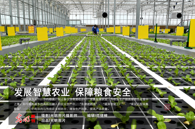 【光明图刊】发展智慧农业 保障粮食安全