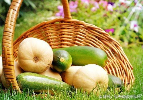 农产品蔬菜品牌应具备的气质