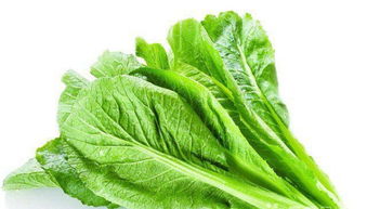 广州大型蔬菜配送公司 专业批发水果农副产品与食堂承包服务