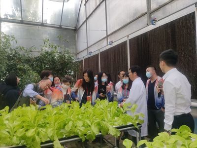 赣劲十足 昌南争先——江西高速服务区因地制宜实现华丽蝶变