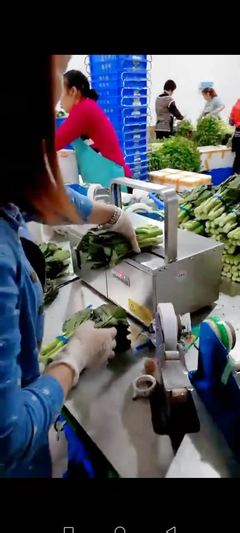 智能农业革命 一台设备如何让这家工厂的蔬菜销量翻番