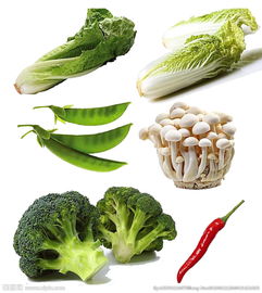 蔬菜图片的艺术与价值 从视觉到营养的全方位解读