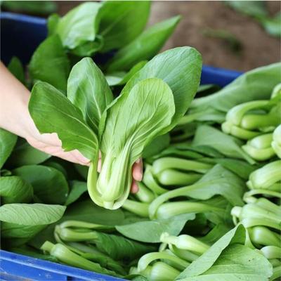 平湖饭堂食材配送服务 工厂食堂高效送菜解决方案