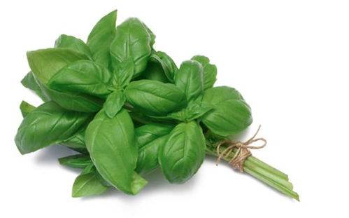 蔬菜大扫盲 认识我们餐桌上的绿色宝藏