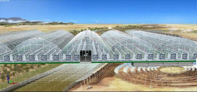 2400平方米加强型联体拱式鸟巢雾培蔬菜工厂设计
